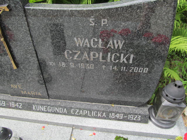 Kunegunda Czaplicka 1849 Dolsk - Grobonet - Wyszukiwarka osób pochowanych