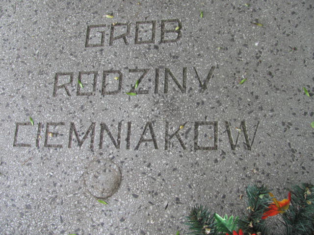 Edmund Pospiech 1928 Dolsk - Grobonet - Wyszukiwarka osób pochowanych