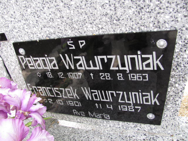 Franciszek Wawrzyniak 1901 Dolsk - Grobonet - Wyszukiwarka osób pochowanych