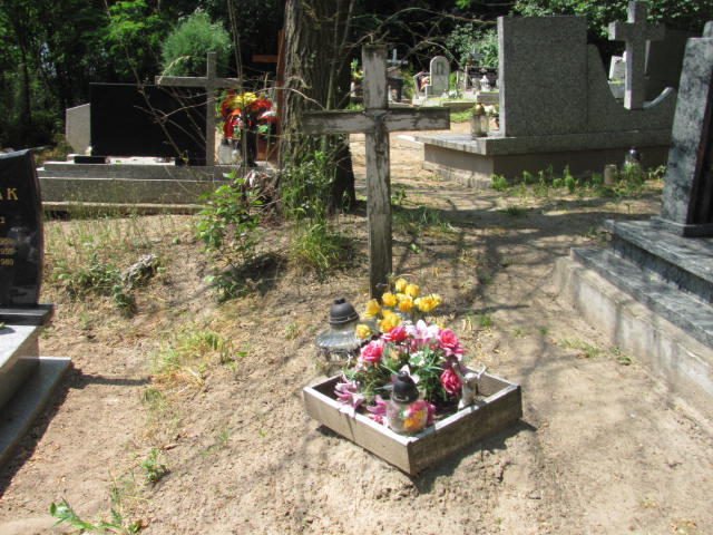  NN Dolsk - Grobonet - Wyszukiwarka osób pochowanych