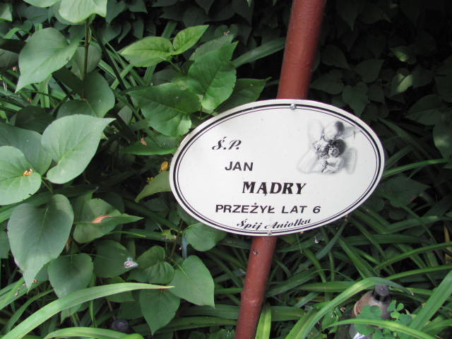 Jan Mądry Dolsk - Grobonet - Wyszukiwarka osób pochowanych