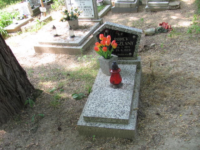 Grób Roman Szczęsny