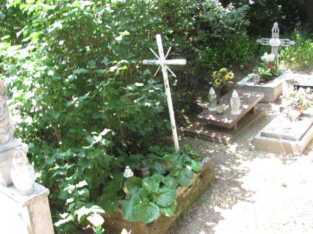  NN Dolsk - Grobonet - Wyszukiwarka osób pochowanych