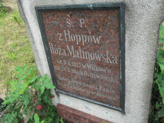 Marianna Jasiecka 1858 Dolsk - Grobonet - Wyszukiwarka osób pochowanych