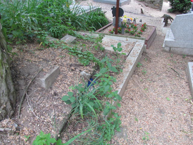  NN Dolsk - Grobonet - Wyszukiwarka osób pochowanych